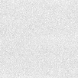 17079