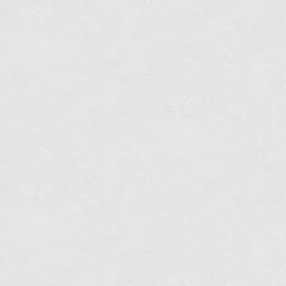 585541