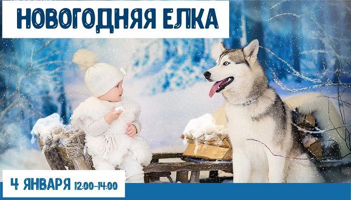 Новогодняя елка 2020!