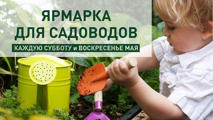 Ярмарка для садоводов
