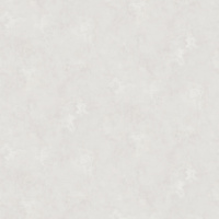 589501