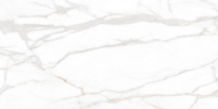 Керамогранит Supreme Gold 600x1200 полированный SM02