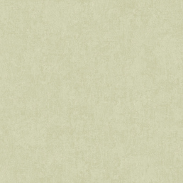 ARTS13 005/2