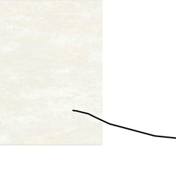R111012